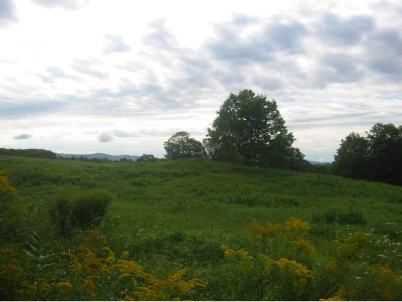 Momsen Road Tunbridge, VT 05077 - Photo 1 of 1 Gallery Image 1