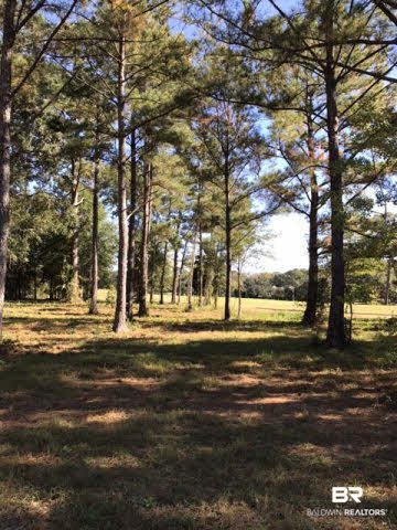 0 Old Battles Road Fairhope, AL 36532 - Photo 5 of 6