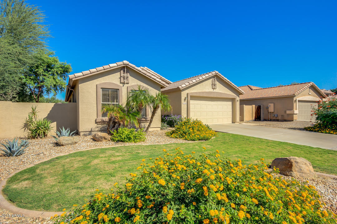3288 East Warbler Road Gilbert, AZ 85297 - Photo 1 of 45 Front Primary