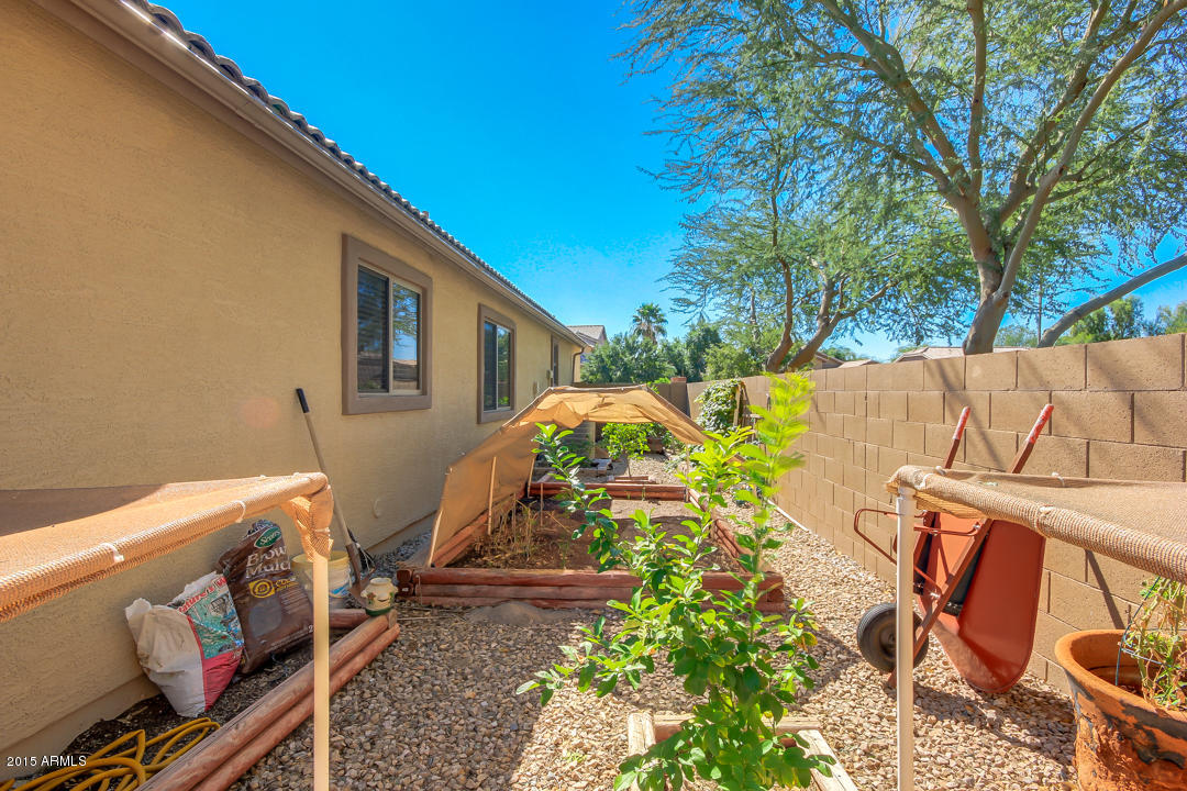 3288 East Warbler Road Gilbert, AZ 85297 - Photo 43 of 45 SideYardGardenArea