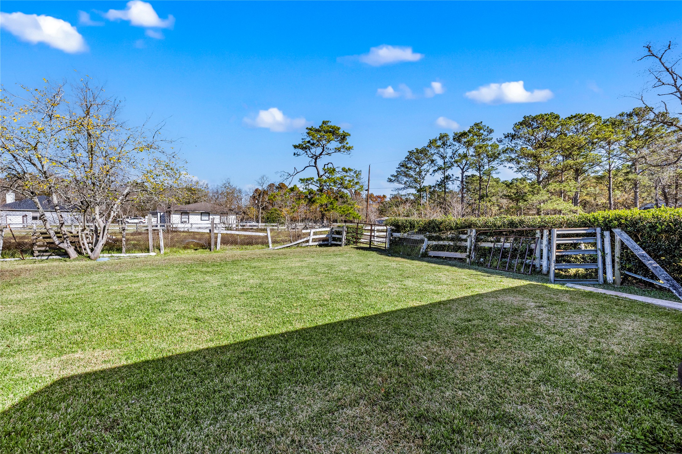1407 Bess Road Dickinson, TX 77539 - Photo 25 of 32 Large backyard.