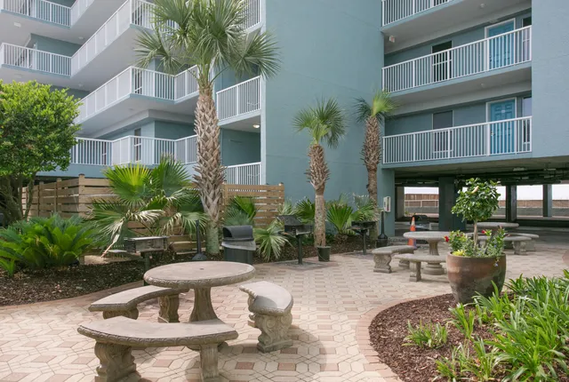 a view of a patio with plants and chairs