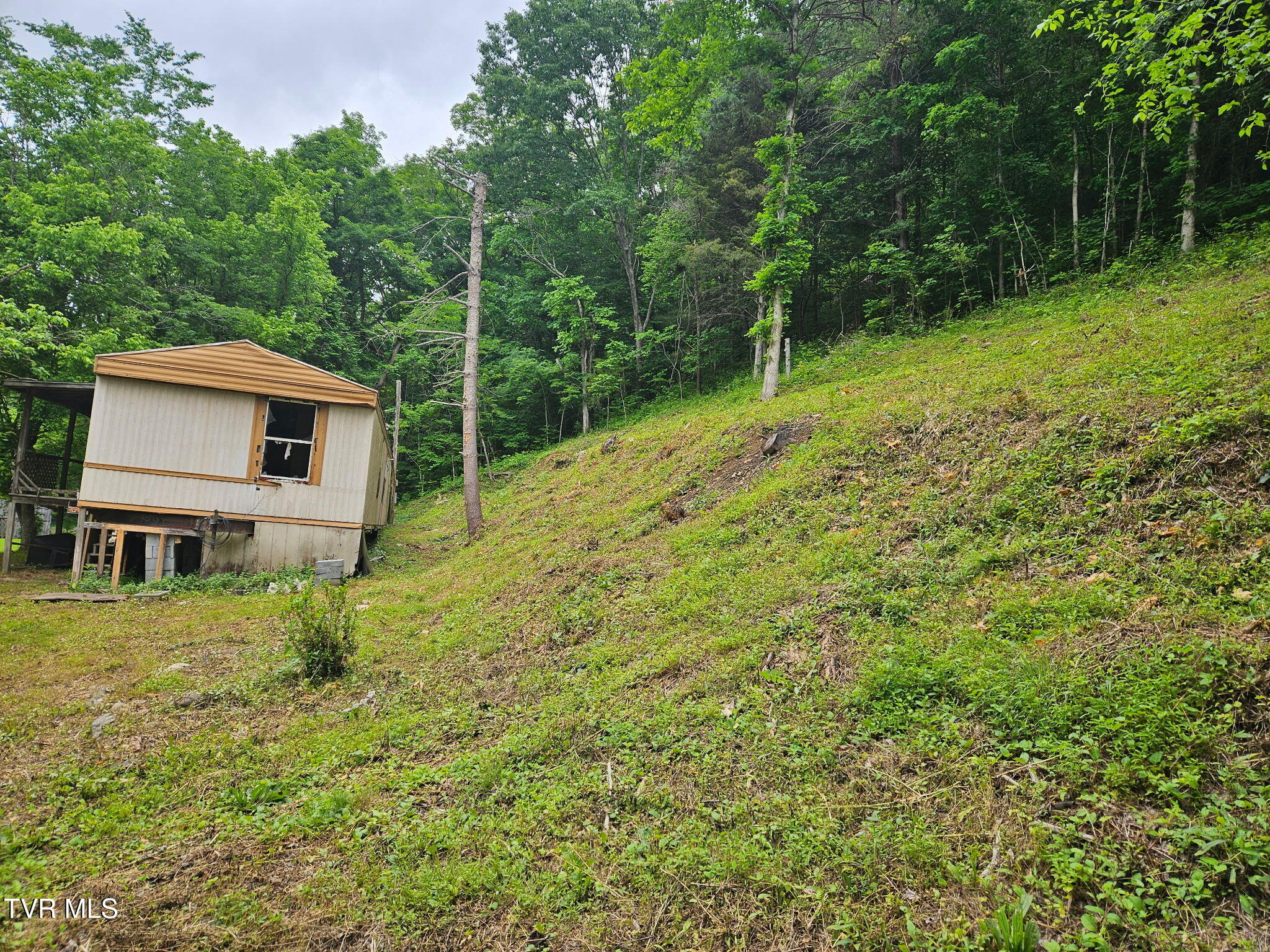 8300 Warrensburg Road Mosheim, TN 37818 - Photo 3 of 8 1000003448