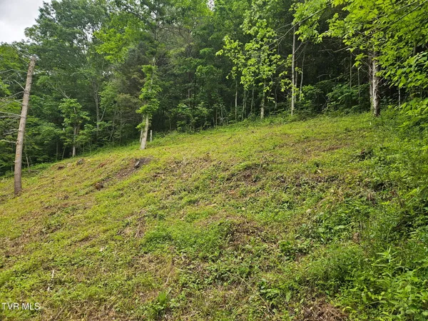 $32,000 | 8300 Warrensburg Road, Mosheim, TN 37818