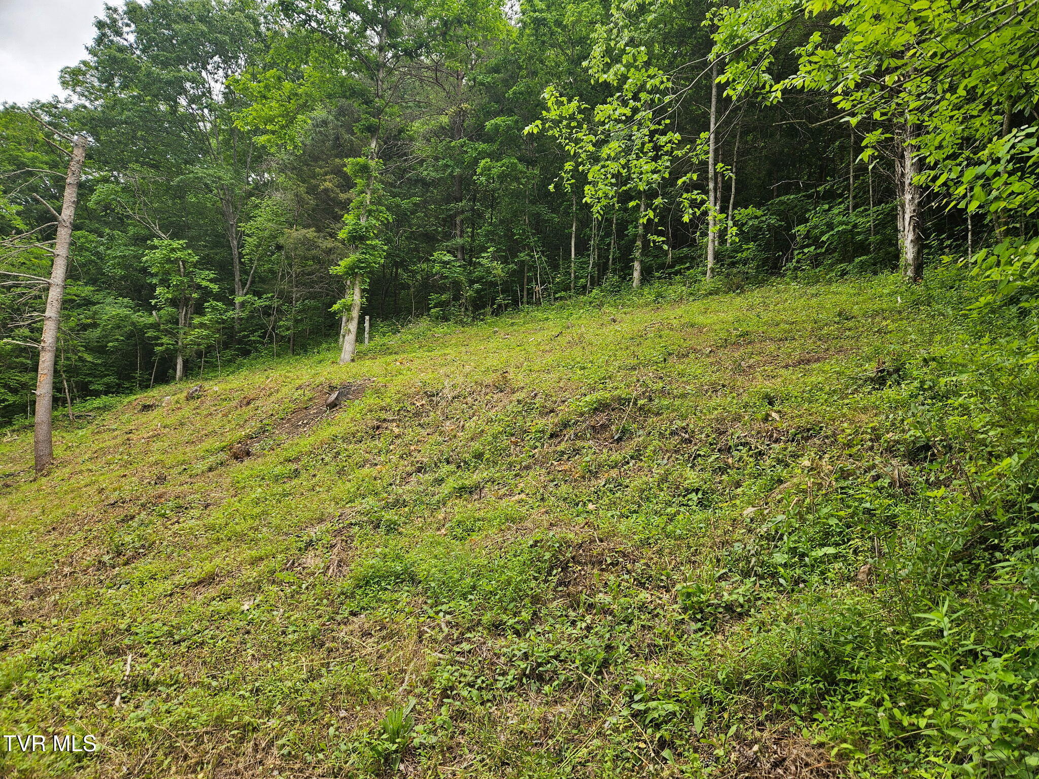 8300 Warrensburg Road Mosheim, TN 37818 - Photo 4 of 8 1000003450