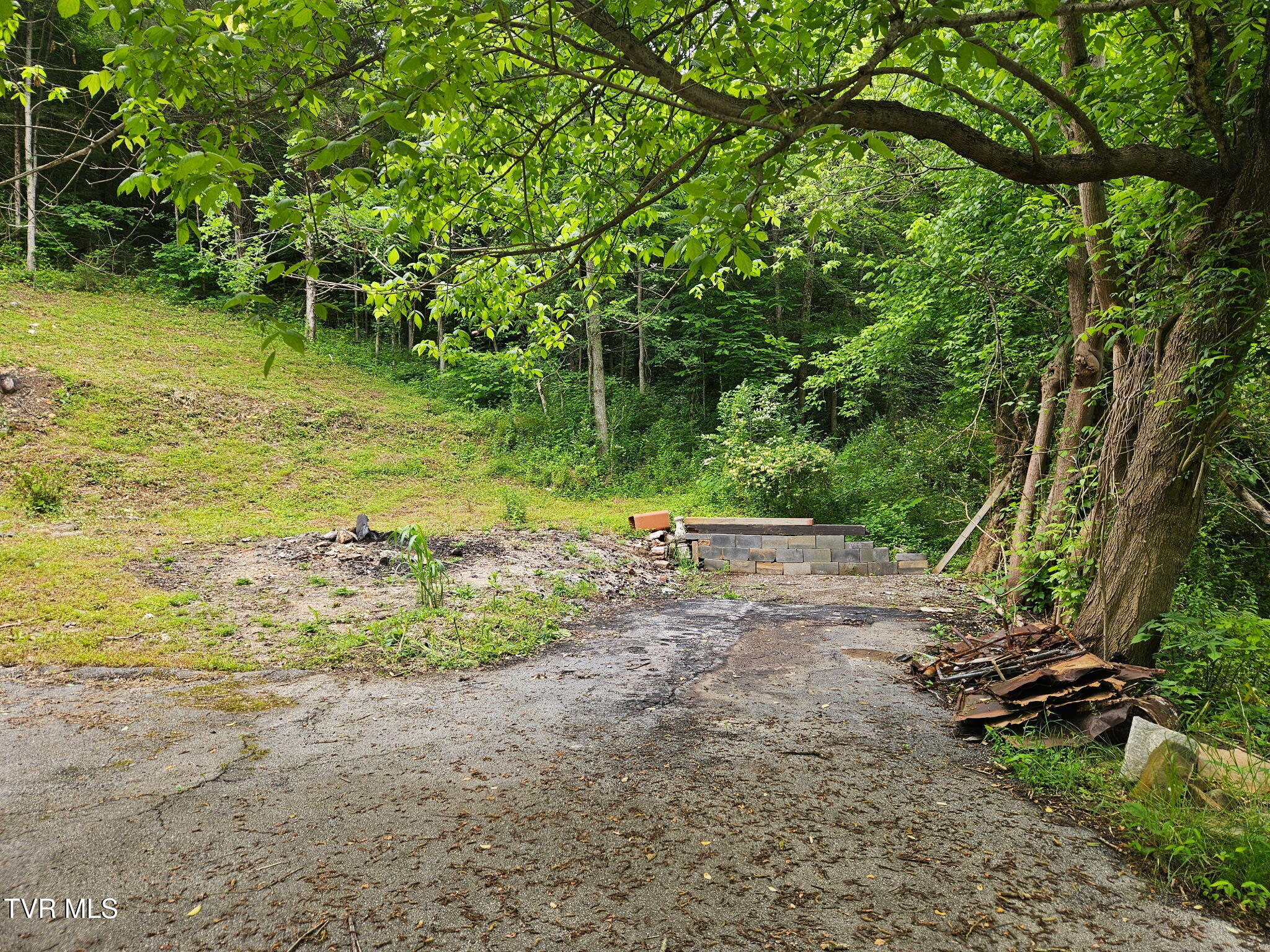 8300 Warrensburg Road Mosheim, TN 37818 - Photo 6 of 8 1000003454