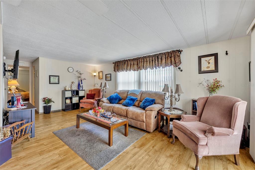 223 Paradise Leesburg, FL 34788 - Photo 12 of 43 a living room with furniture and a rug