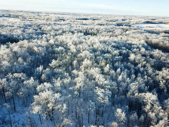 $304,000 | Tbd1 161st Avenue, Clearbrook, MN 56634