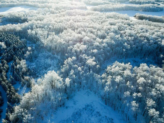 $304,000 | Tbd1 161st Avenue, Clearbrook, MN 56634