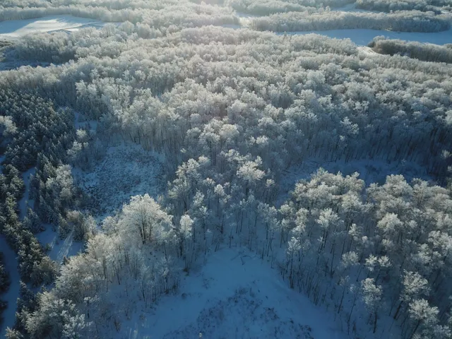 $304,000 | Tbd1 161st Avenue, Clearbrook, MN 56634