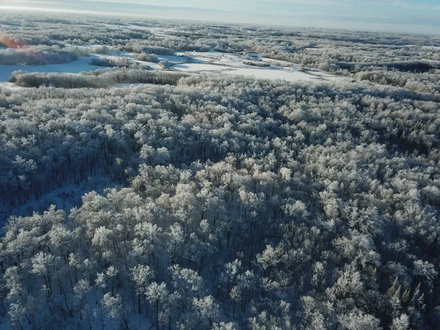 $304,000 | Tbd1 161st Avenue, Clearbrook, MN 56634