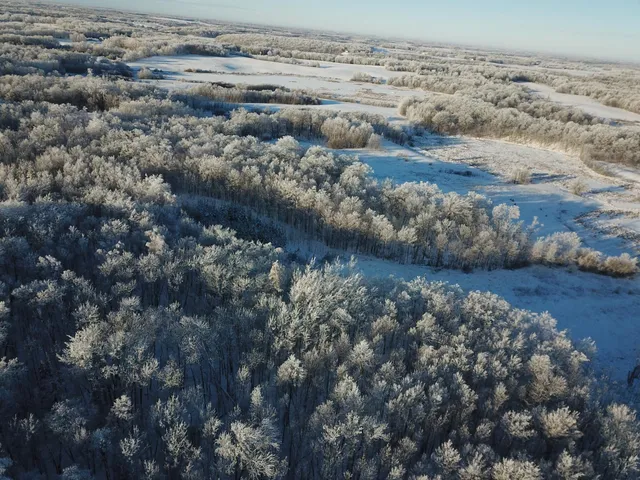 $304,000 | Tbd1 161st Avenue, Clearbrook, MN 56634