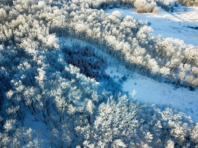 $304,000 | Tbd1 161st Avenue, Clearbrook, MN 56634