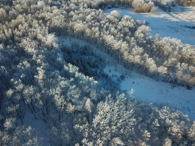 $304,000 | Tbd1 161st Avenue, Clearbrook, MN 56634