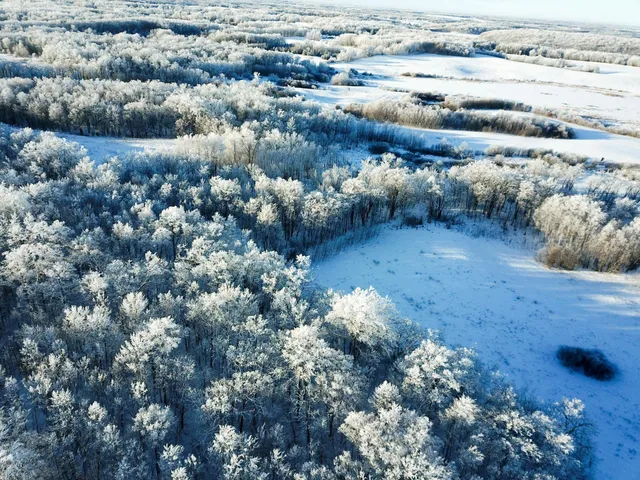 $304,000 | Tbd1 161st Avenue, Clearbrook, MN 56634