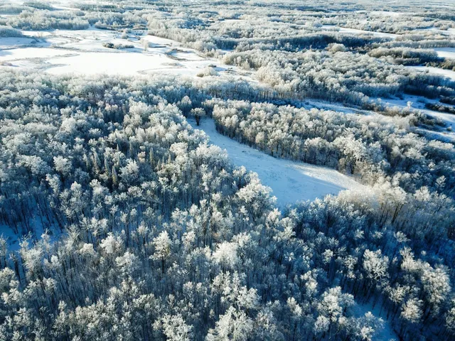 $304,000 | Tbd1 161st Avenue, Clearbrook, MN 56634