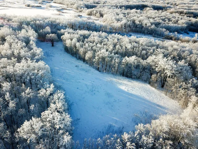 $304,000 | Tbd1 161st Avenue, Clearbrook, MN 56634