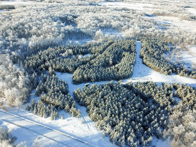 $304,000 | Tbd1 161st Avenue, Clearbrook, MN 56634