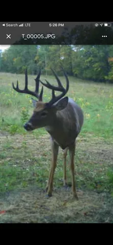 $304,000 | Tbd1 161st Avenue, Clearbrook, MN 56634