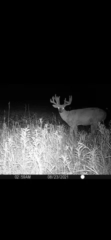 $304,000 | Tbd1 161st Avenue, Clearbrook, MN 56634