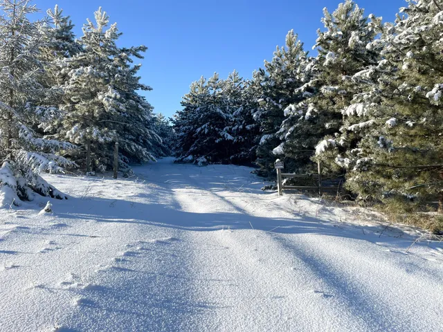 $304,000 | Tbd1 161st Avenue, Clearbrook, MN 56634