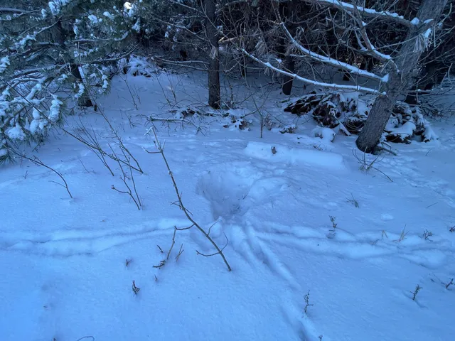 $304,000 | Tbd1 161st Avenue, Clearbrook, MN 56634