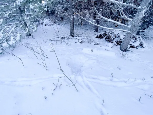 $304,000 | Tbd1 161st Avenue, Clearbrook, MN 56634