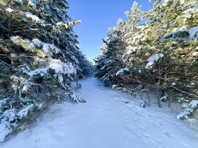 $304,000 | Tbd1 161st Avenue, Clearbrook, MN 56634