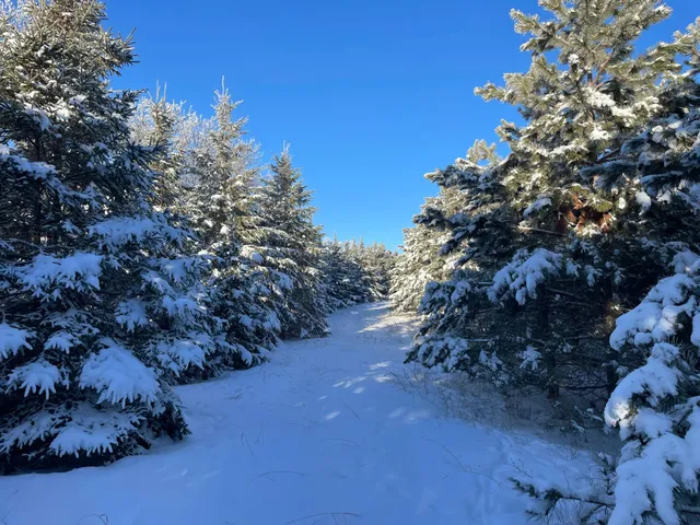 $304,000 | Tbd1 161st Avenue, Clearbrook, MN 56634