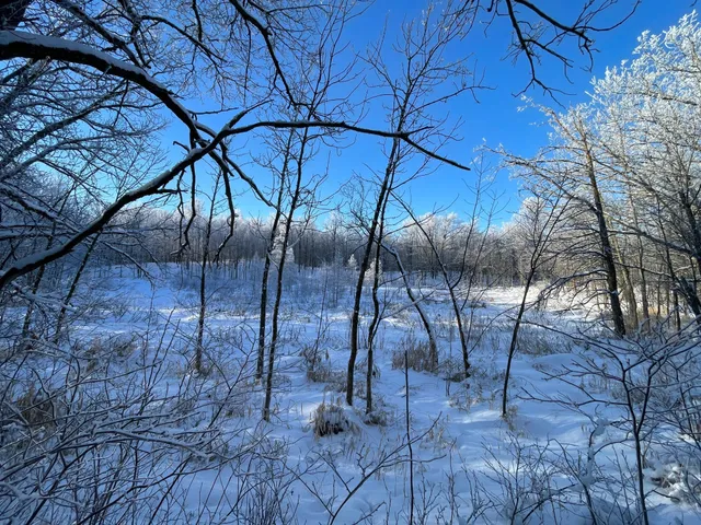 $304,000 | Tbd1 161st Avenue, Clearbrook, MN 56634