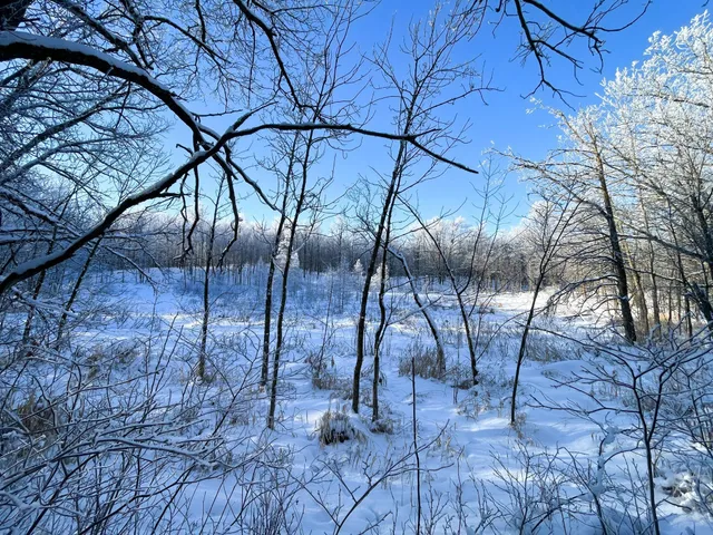 $304,000 | Tbd1 161st Avenue, Clearbrook, MN 56634