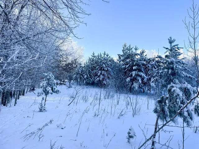 $304,000 | Tbd1 161st Avenue, Clearbrook, MN 56634