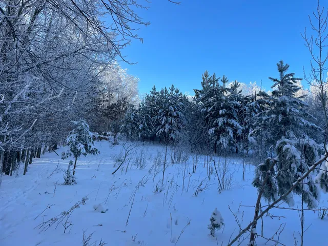 $304,000 | Tbd1 161st Avenue, Clearbrook, MN 56634