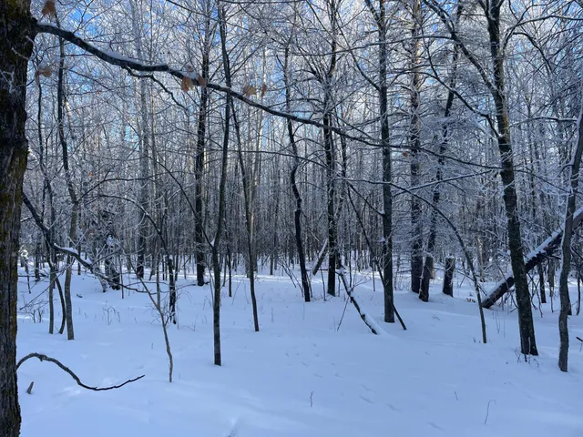 $304,000 | Tbd1 161st Avenue, Clearbrook, MN 56634