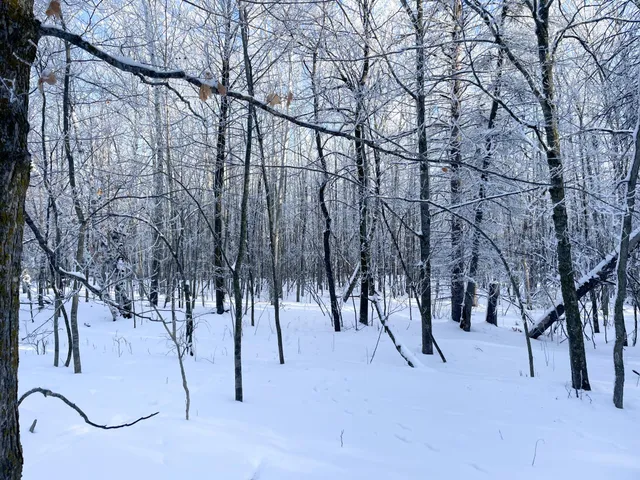 $304,000 | Tbd1 161st Avenue, Clearbrook, MN 56634