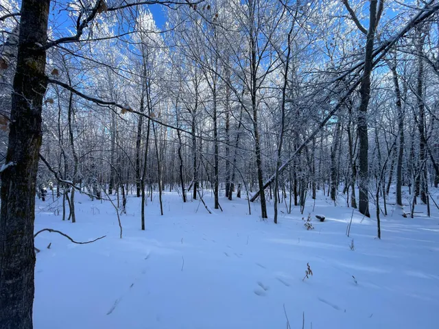 $304,000 | Tbd1 161st Avenue, Clearbrook, MN 56634