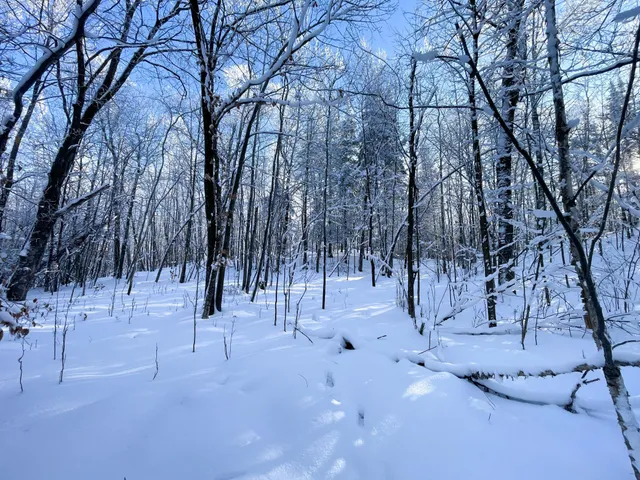 $304,000 | Tbd1 161st Avenue, Clearbrook, MN 56634