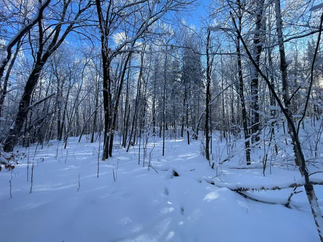 $304,000 | Tbd1 161st Avenue, Clearbrook, MN 56634