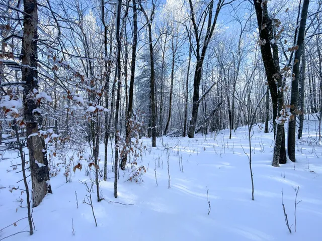 $304,000 | Tbd1 161st Avenue, Clearbrook, MN 56634