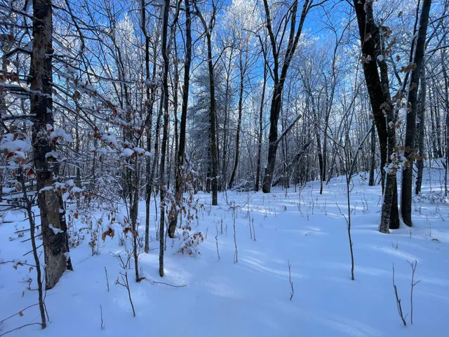 $304,000 | Tbd1 161st Avenue, Clearbrook, MN 56634