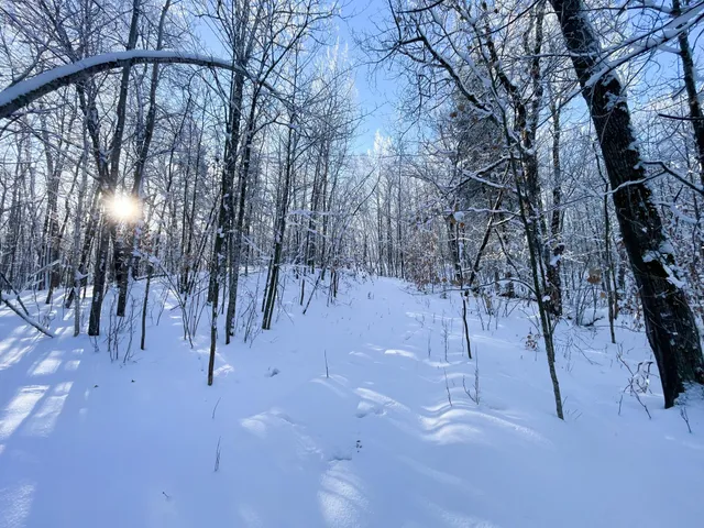 $304,000 | Tbd1 161st Avenue, Clearbrook, MN 56634