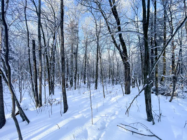 $304,000 | Tbd1 161st Avenue, Clearbrook, MN 56634