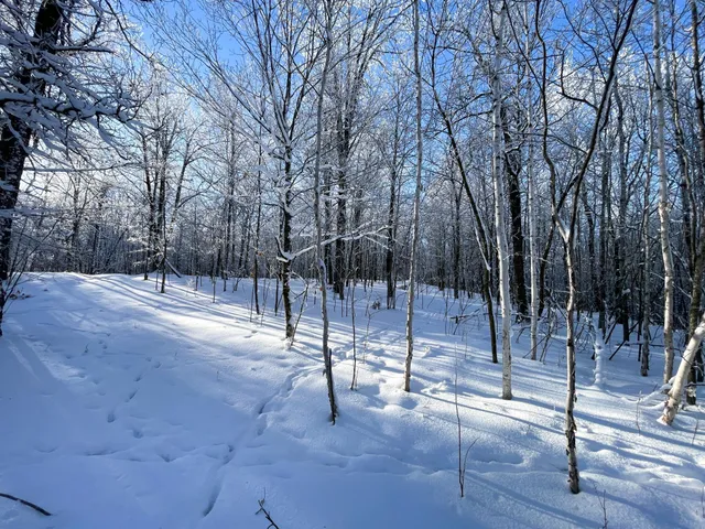 $304,000 | Tbd1 161st Avenue, Clearbrook, MN 56634