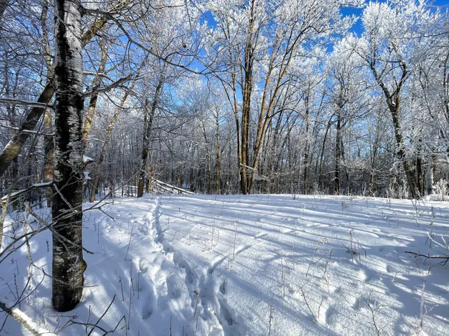 $304,000 | Tbd1 161st Avenue, Clearbrook, MN 56634