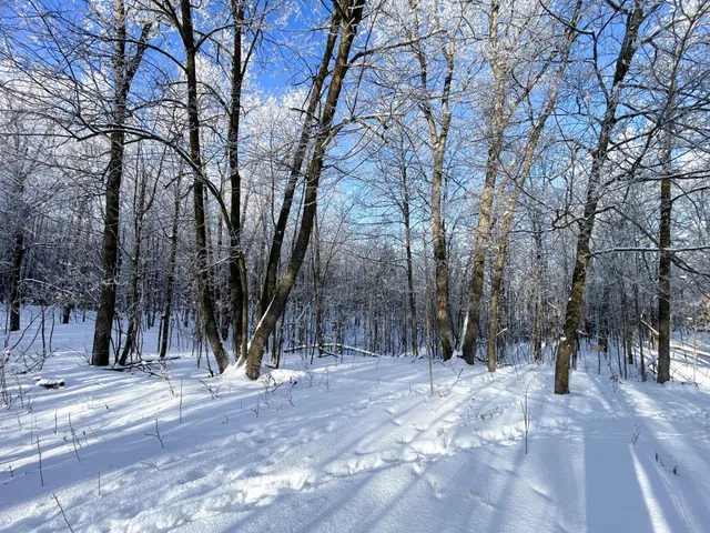 $304,000 | Tbd1 161st Avenue, Clearbrook, MN 56634