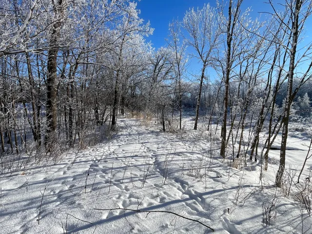 $304,000 | Tbd1 161st Avenue, Clearbrook, MN 56634