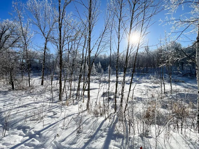 $304,000 | Tbd1 161st Avenue, Clearbrook, MN 56634