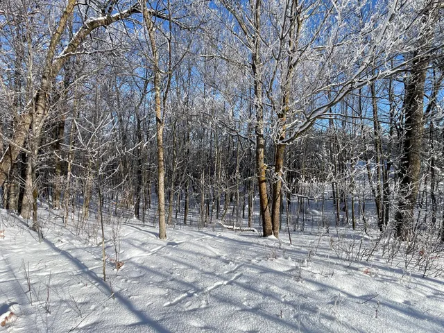 $304,000 | Tbd1 161st Avenue, Clearbrook, MN 56634