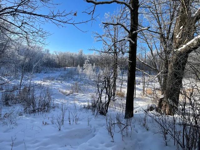 $304,000 | Tbd1 161st Avenue, Clearbrook, MN 56634