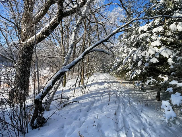 $304,000 | Tbd1 161st Avenue, Clearbrook, MN 56634